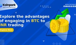 Explore the advantages of engaging in BTC to INR trading