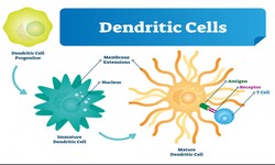 Revolutionizing Immunotherapy: The AI-Driven Evolution of Dendritic Cell Vaccine Design and Delivery