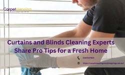 Caroline Springs Curtains and Blinds Cleaning Experts Share Pro Tips for a Fresh Home