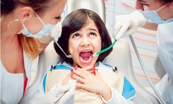 Dental Delight: Navigating Your Options for Dentists in Delray Beach