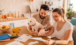 Budget-Friendly Pet Care Tips for Every Pet Owner
