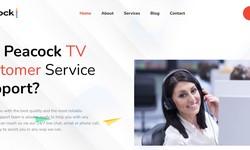 Unlocking Assistance: Peacock TV Contact Email Revealed