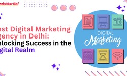 Best Digital Marketing Agency in Delhi: Unlocking Success in the Digital Realm