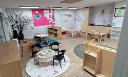 Excellence Redefined: Unveiling Brilliant Minds Kindergarten in Auckland