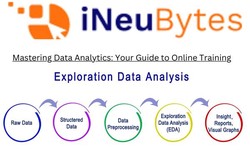Mastering Data Analytics: Your Guide to Online Training