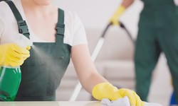 The Ultimate Guide to House Cleaning in Burlington: Tips for a Pristine Home