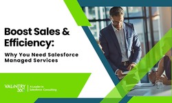 Boost Sales & Efficiency: Why You Need Salesforce Managed Services