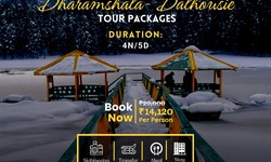 Book a Dharamshala Dalhousie Tour Package