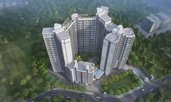 Elevating Living Standards: Unveiling the Essence of Essential Amenities in Luxurious Apartments