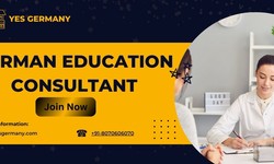 How a German Education Consultant Can Enhance Your Career Prospects