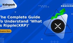 The Complete Guide To Understand ‘What Is Ripple(XRP)’