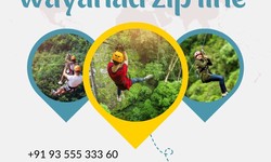 Soaring Heights: A Comprehensive Exploration of Wayanad Zip Line Adventure