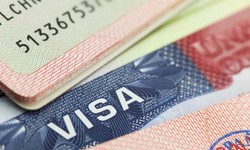 Navigating Excellence: The Role and Expertise of O-1 Visa Lawyers