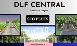 DLF Central Sector 67 Gurgaon | SCO Plots By DLF Group