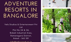 From High Ropes to Bollywood Vibes: Discovering Adrenaline, the Ultimate Day Outing Haven