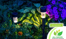 Light Up The Night: Illuminate Your Sydney Garden
