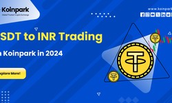 USDT to INR Trading on Koinpark in 2024