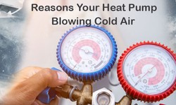 Reasons Why Your Heat Pump is Blowing Cold Air