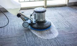 Unveiling the Finest Carpet Cleaning in Melbourne: A True Aussie Touch