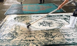 Keeping Melbourne Carpets Pristine: Unveiling the Top Carpet Cleaning Services Down Under