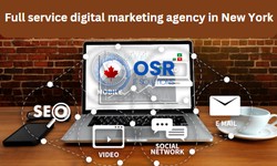 7 Key Elements of a Successful Digital Marketing Campaign in Ontario