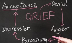 Journey to Renewal Expert Insights in Grief Counseling