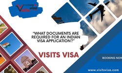 Navigating the Indian Visa Maze A Guide for American Citizens, UK Nationals, and Other Travelers
