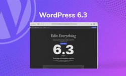WordPress 6.3 Update: Exploring In-Depth Insights