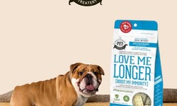 Show Your Love with Wholesome and Delicious Dog Treats