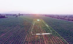 THE TRANSFORMATIVE IMPACT OF DRONES IN INDIAN AGRICULTURE INTRODUCTION
