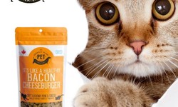 Treat Time for Your Kitty: Explore Tempting Cat Treats