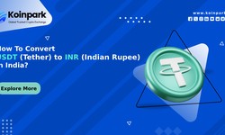 How To Convert USDT (Tether) to INR (Indian Rupee) In India