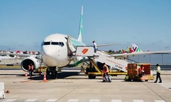 Are Lisbon Airport Transfers to Hotels Wheelchair Accessible?