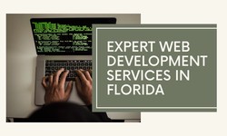 How to Find Top Web Development Company in Florida