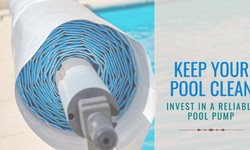 Some Reasons Why You Need Cheap Pool Cleaners