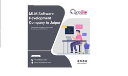 MLM Software Development in Jaipur | Empower Your Network Marketing Business