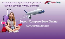 Daddy Airlines A Parent's Go-To Resource for Stress-Free Travel
