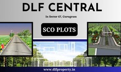 DLF CENTRAL Sector 67 Gurugram | Take The Next Move Now