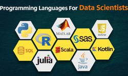 TOP PROGRAMMING LANGUAGES FOR DATA SCIENTISTS | INFOGRAPHIC