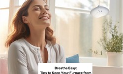 Breathe Easy: Tips to Keep Your Furnace from Affecting Your Allergies