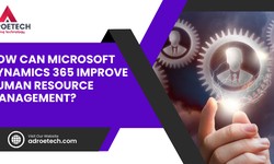 How Can Microsoft Dynamics 365 Improve Human Resource Management?