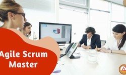 Who is the Target Audience for Certified Scrum Master Certification?