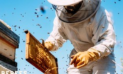 The Significance of Beekeepers Suits: Understanding Their Role in Beekeeping Safety