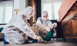 A Comprehensive Guide to Pest Control Services