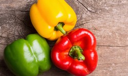 Capsicum Chronicles: Unveiling the Colorful World of Bell Peppers