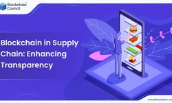 Blockchain in Supply Chain: Enhancing Transparency