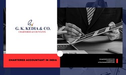 Top Chartered Accountants in Delhi, India: G. K. Kedia & Co. Leading the Financial Excellence