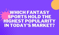 Which fantasy sports hold the highest popularity in today's market?