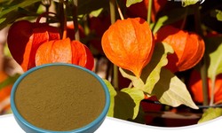 The Role of Plant Extract Powders in Natural Wellness