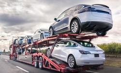 Vehicle Transport: Ensuring Safe and Convenient Relocation